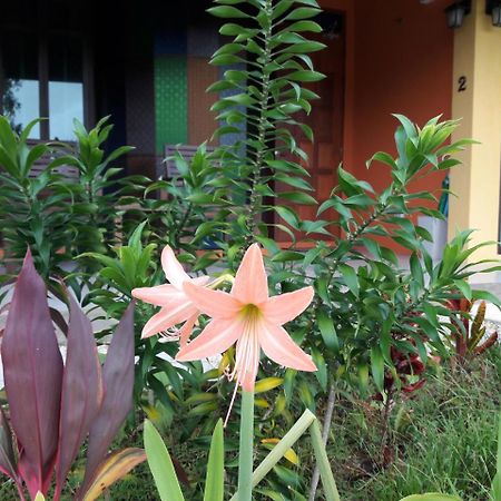 Raintree Bangsak Villa Khao Lak Exterior photo