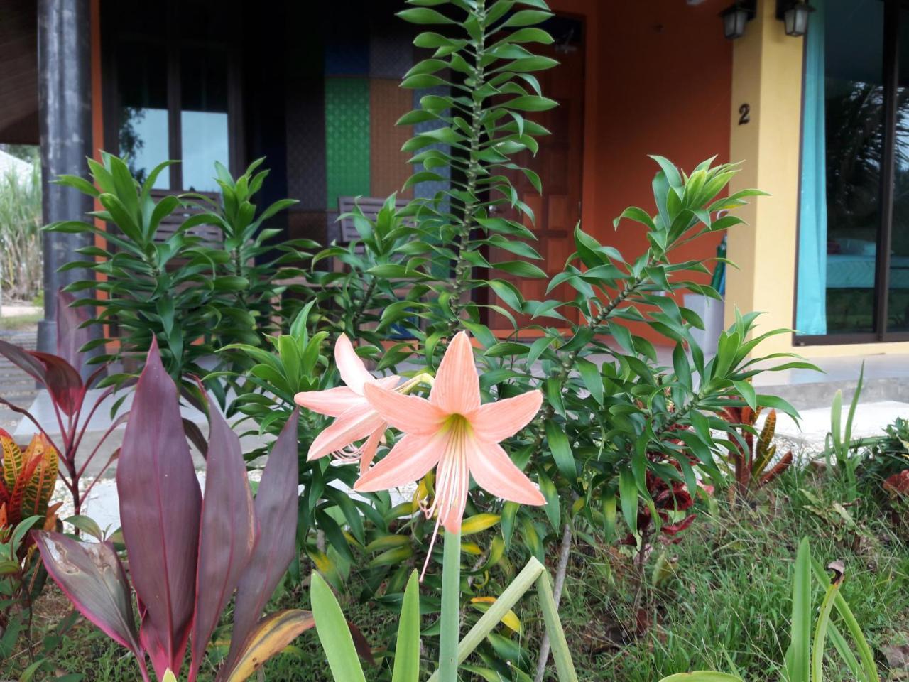 Raintree Bangsak Villa Khao Lak Exterior photo